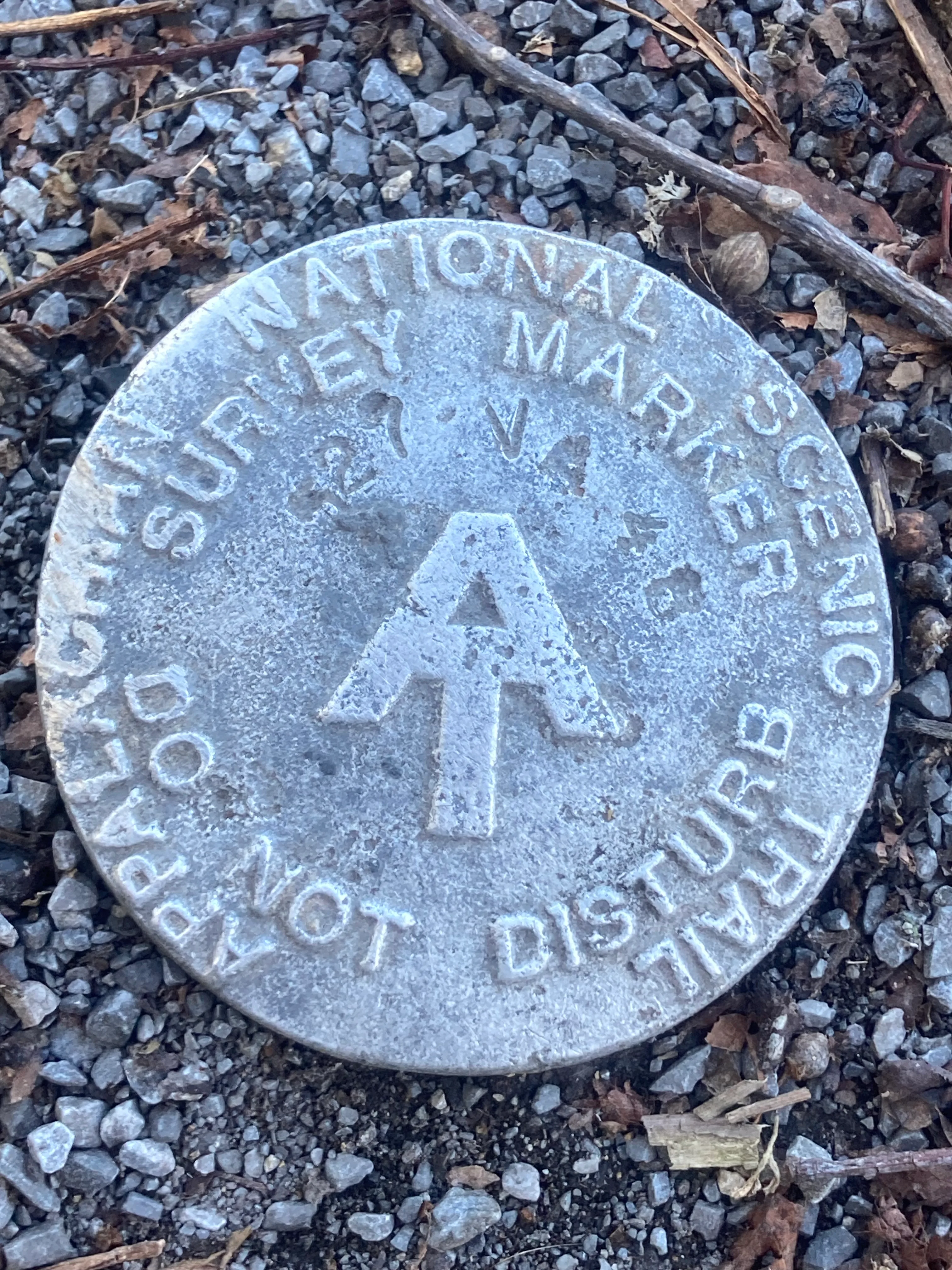 The AT marker — white blaze right in town