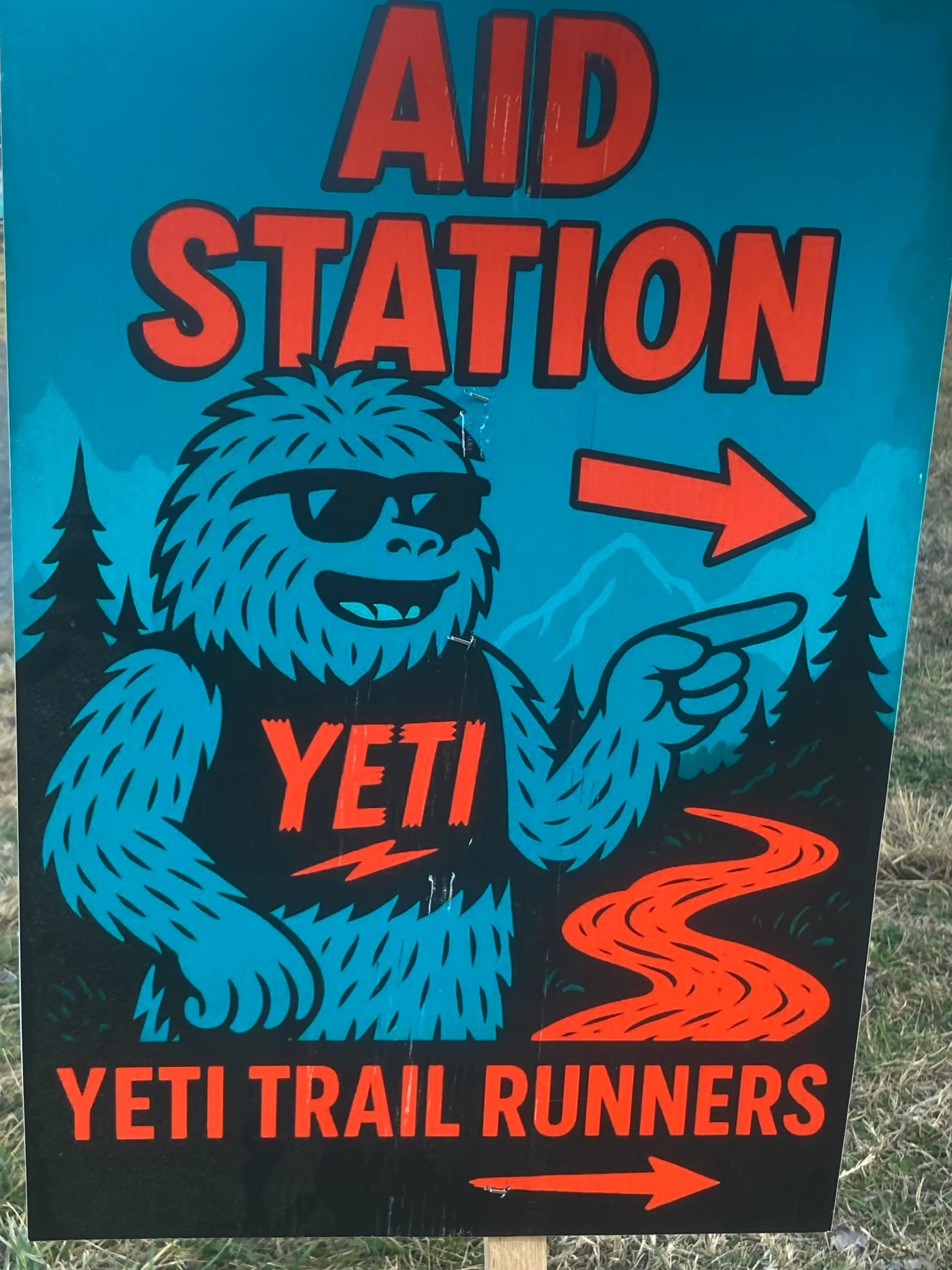 The race was already rolling