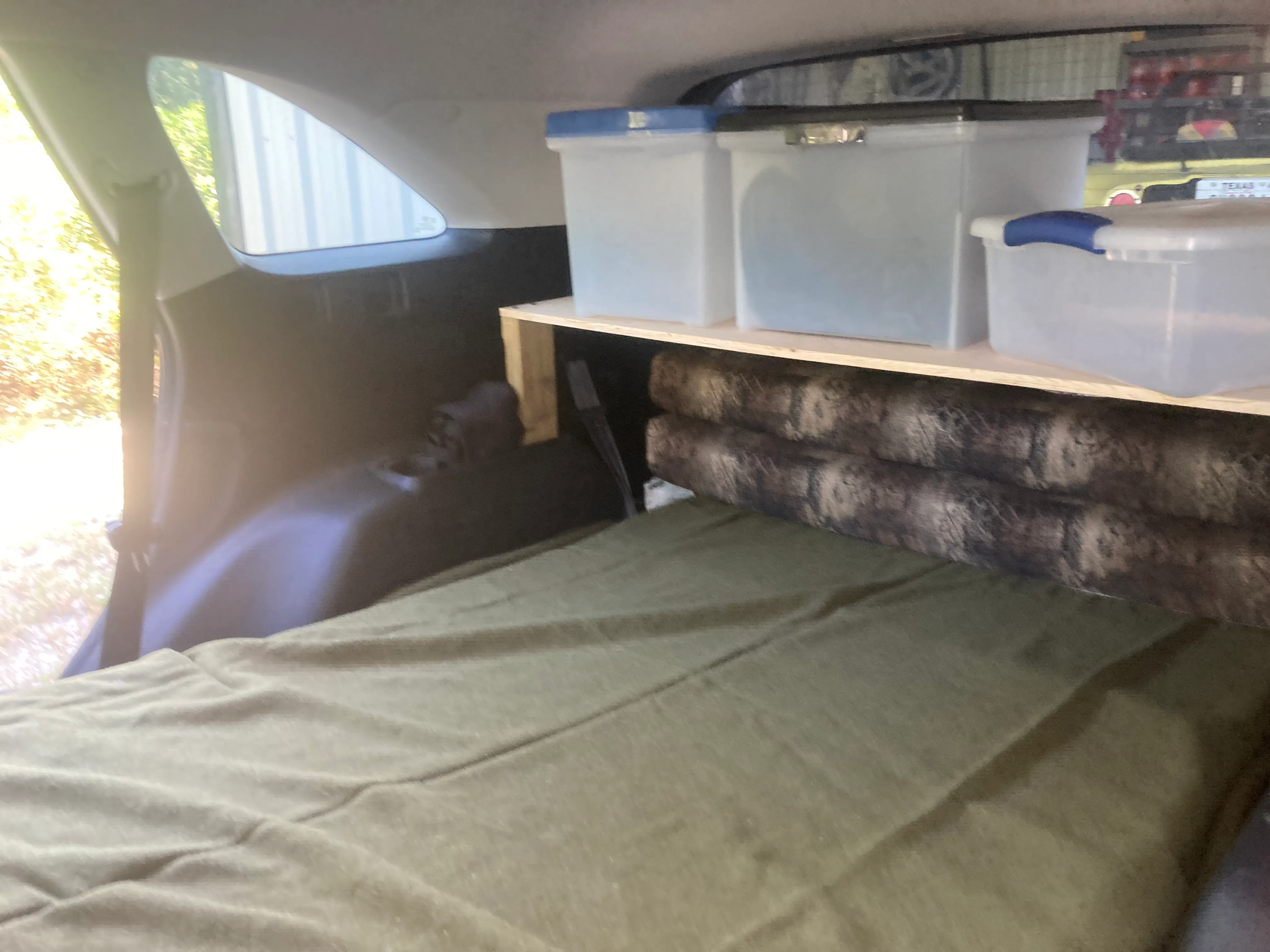 Food organized on the shelf — dry box, canned box, cooler