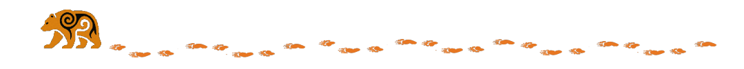 Bear Tracks Divider