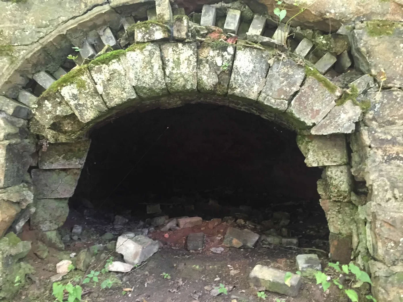 A Kaymoor coke oven arch — one of more than 200, moss-covered and intact after decades in the gorge forest
