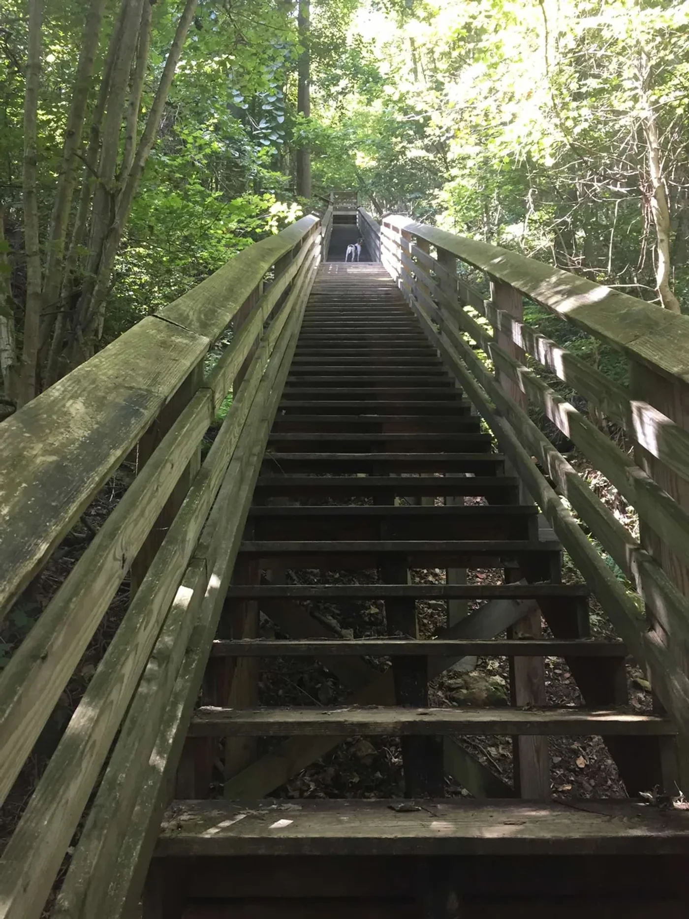 The old Kaymoor processing structure — the 1947 photo on the NPS sign shows it running. This is what's left.