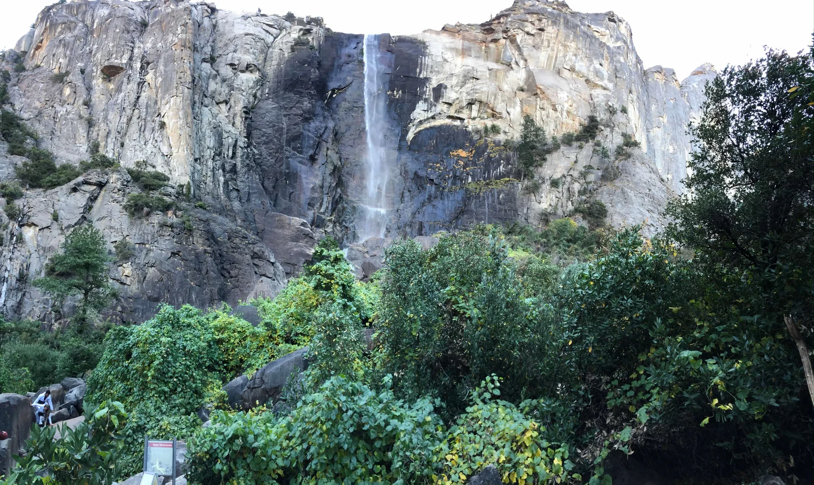 Bridalveil Fall — 617 feet off the south valley wall. The spray reaches you before you're ready for it.