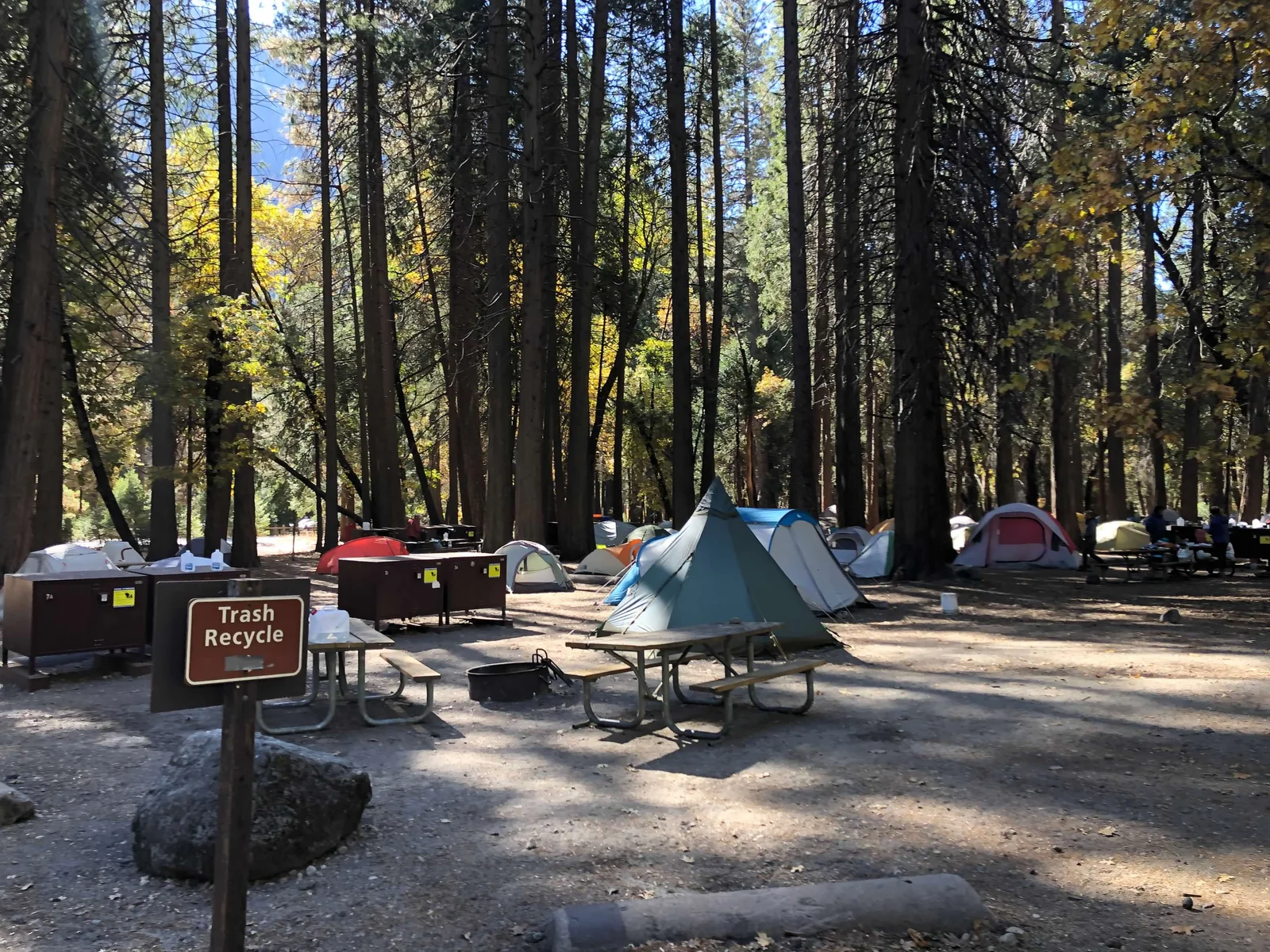 Camp 4 — the walk-in campground where American rock climbing was born. Every serious climber knows this place.