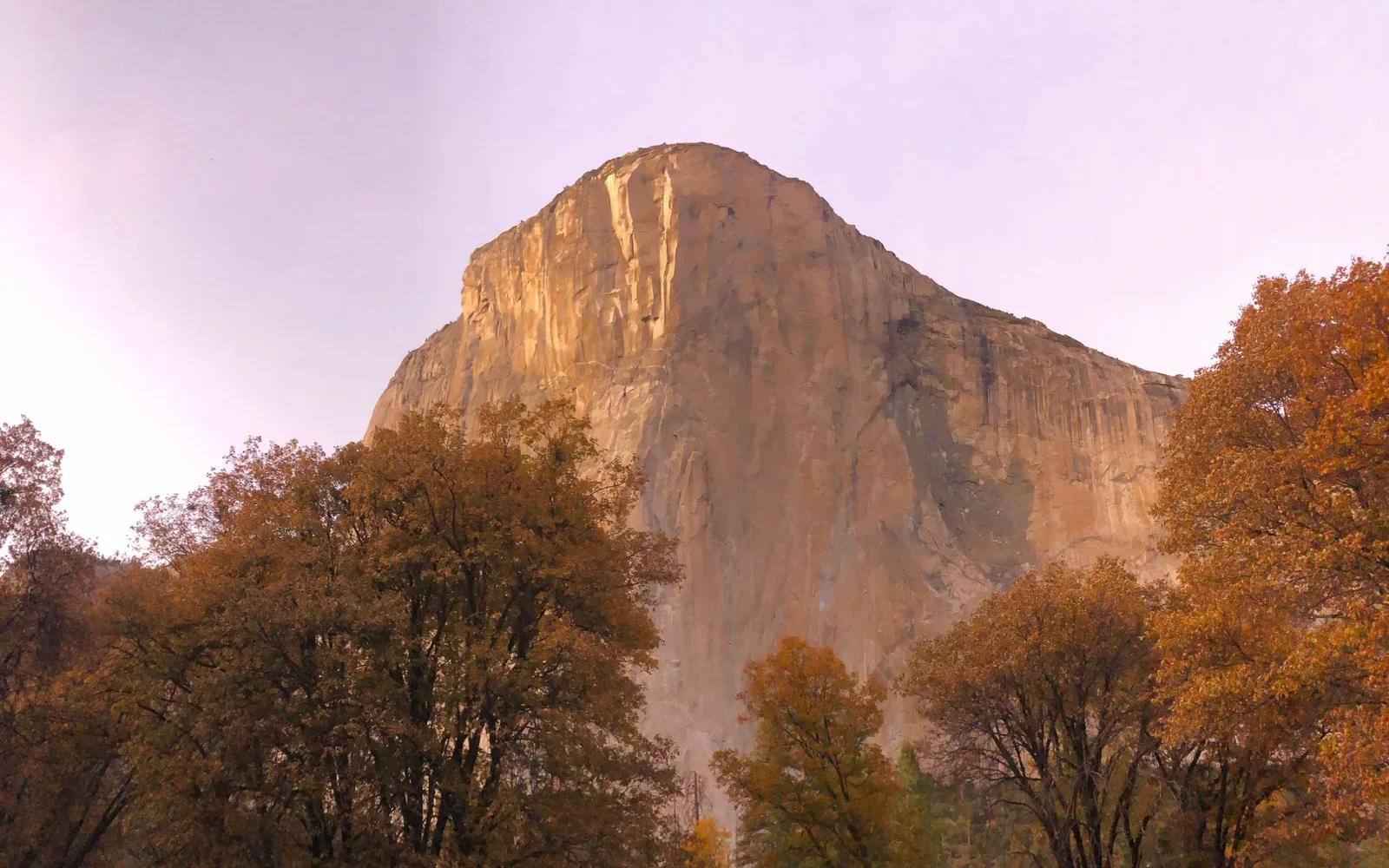 El Capitan from El Capitan Meadow — fall oaks turning orange in the foreground, 3,000 feet of sheer granite rising straight up behind them.
