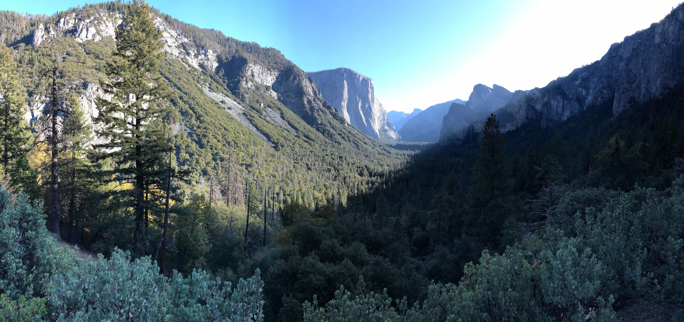 Tunnel View — the first thing you see when you drive into Yosemite Valley. El Capitan on the left, Half Dome at the far end, Bridalveil Fall on the right.