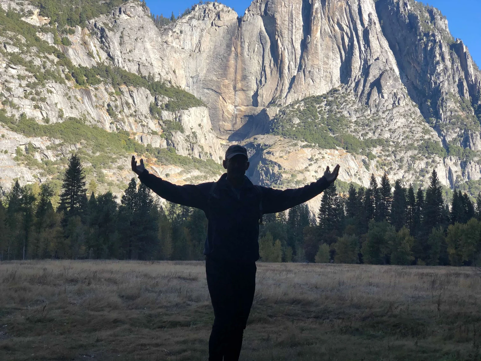 Tortuga on the valley floor, Yosemite Falls in the background — the view that makes you stop walking and just stand there.