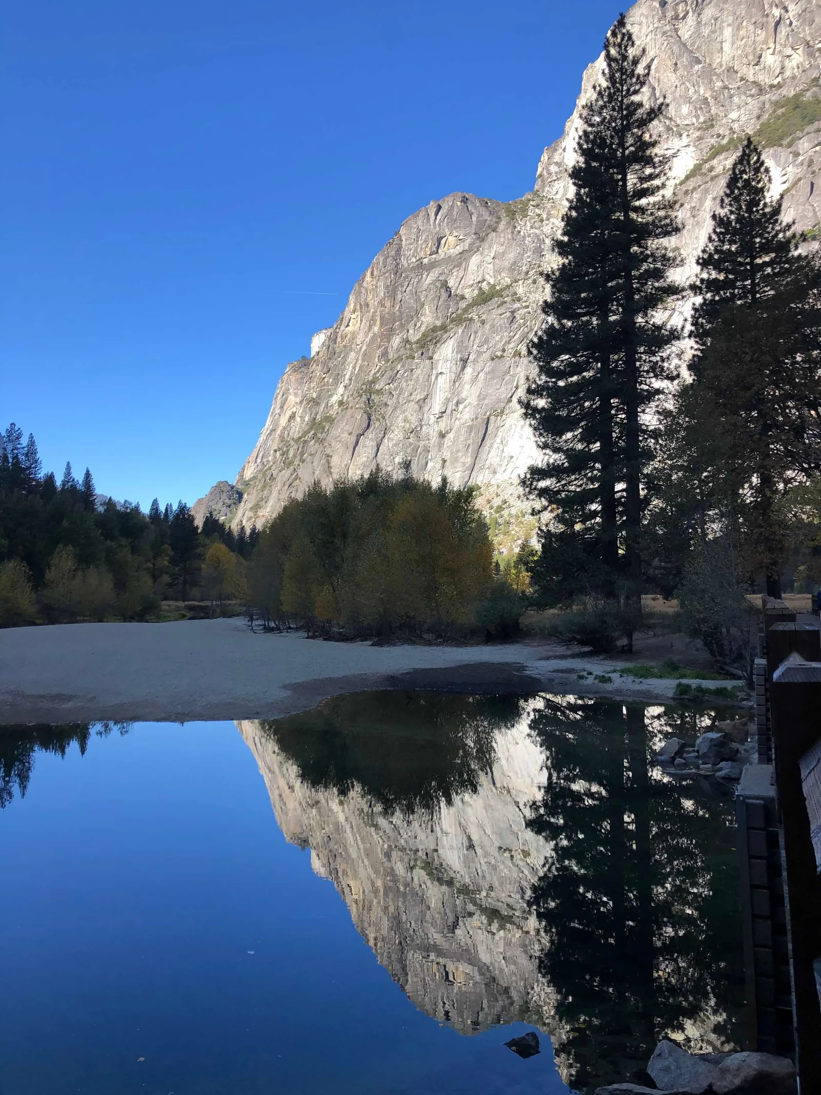 Because when you see camper vans in Yosemite Valley, you photograph them. This is not a rule — it's a law.