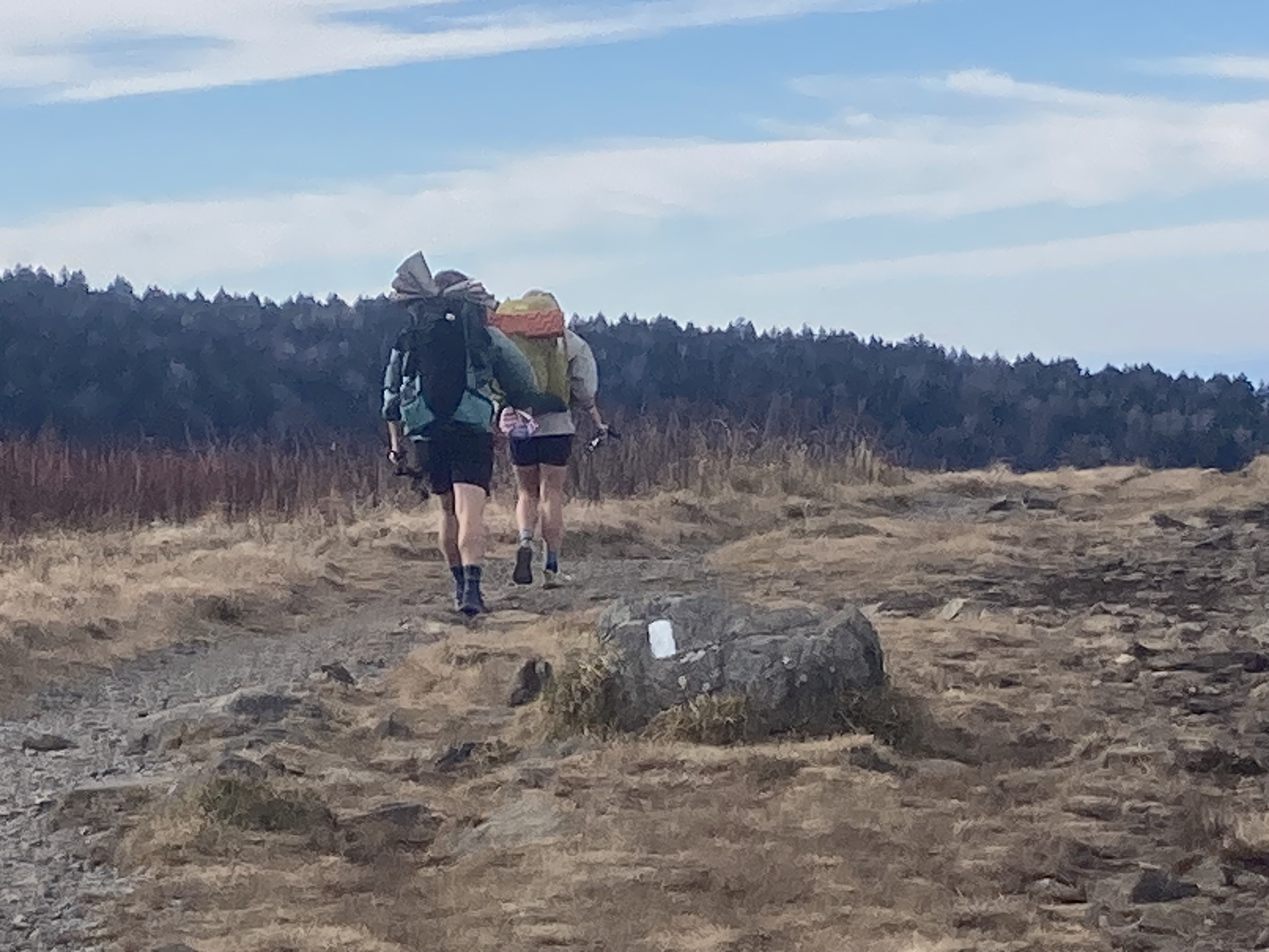The Roanoke Triple Crown: Three Appalachian Trail Peaks Above Virginia's Valley