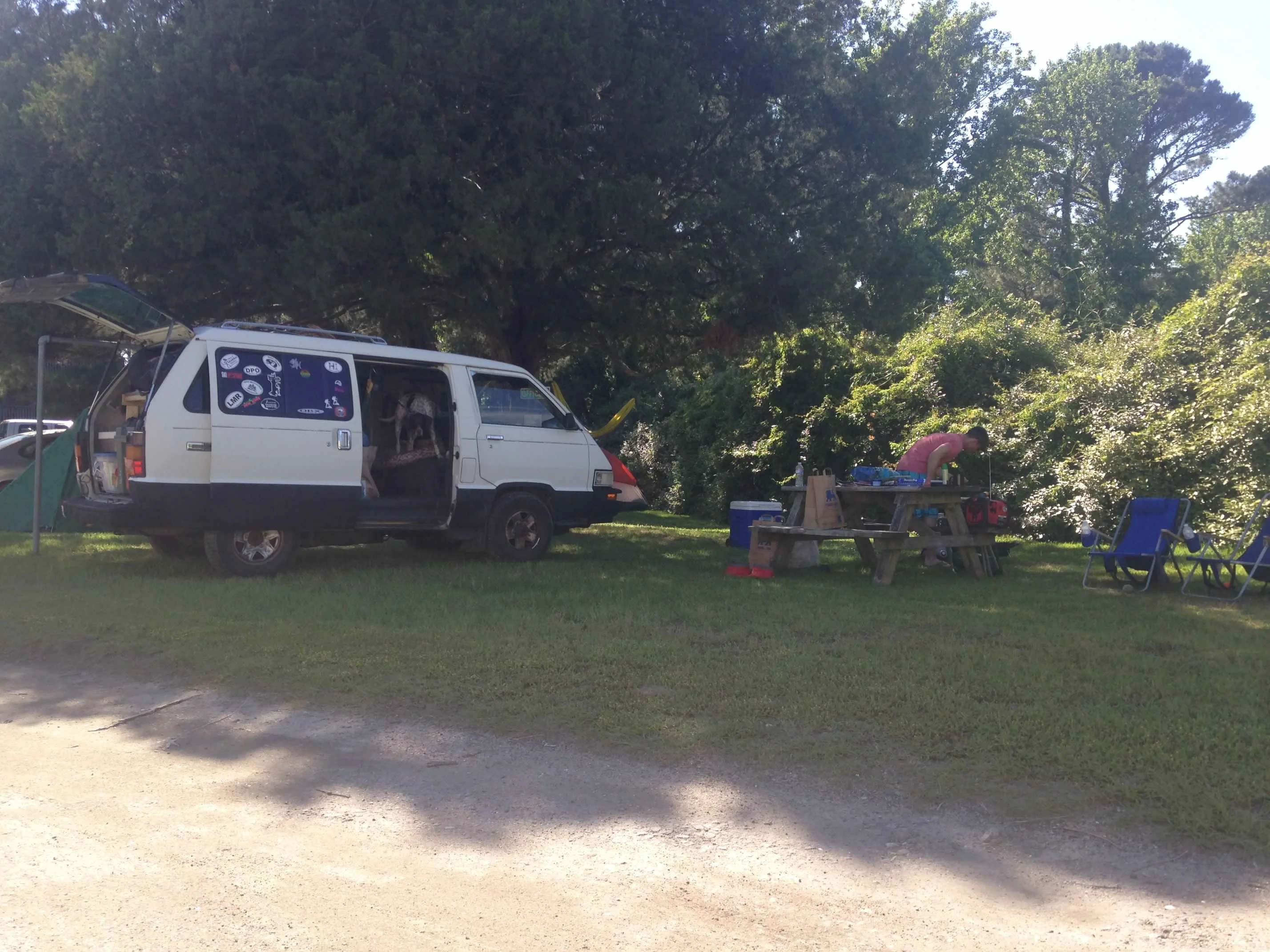 Tortuga and the dog at a shaded hostel campground on the Outer Banks, van parked with picnic table