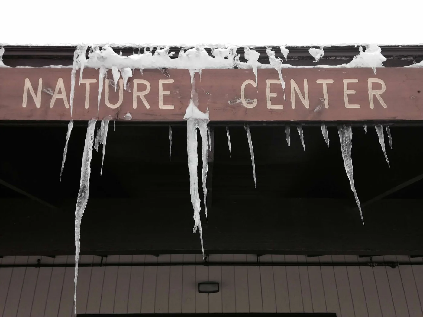 Two days of this — Canaan Valley locked down, nothing moving