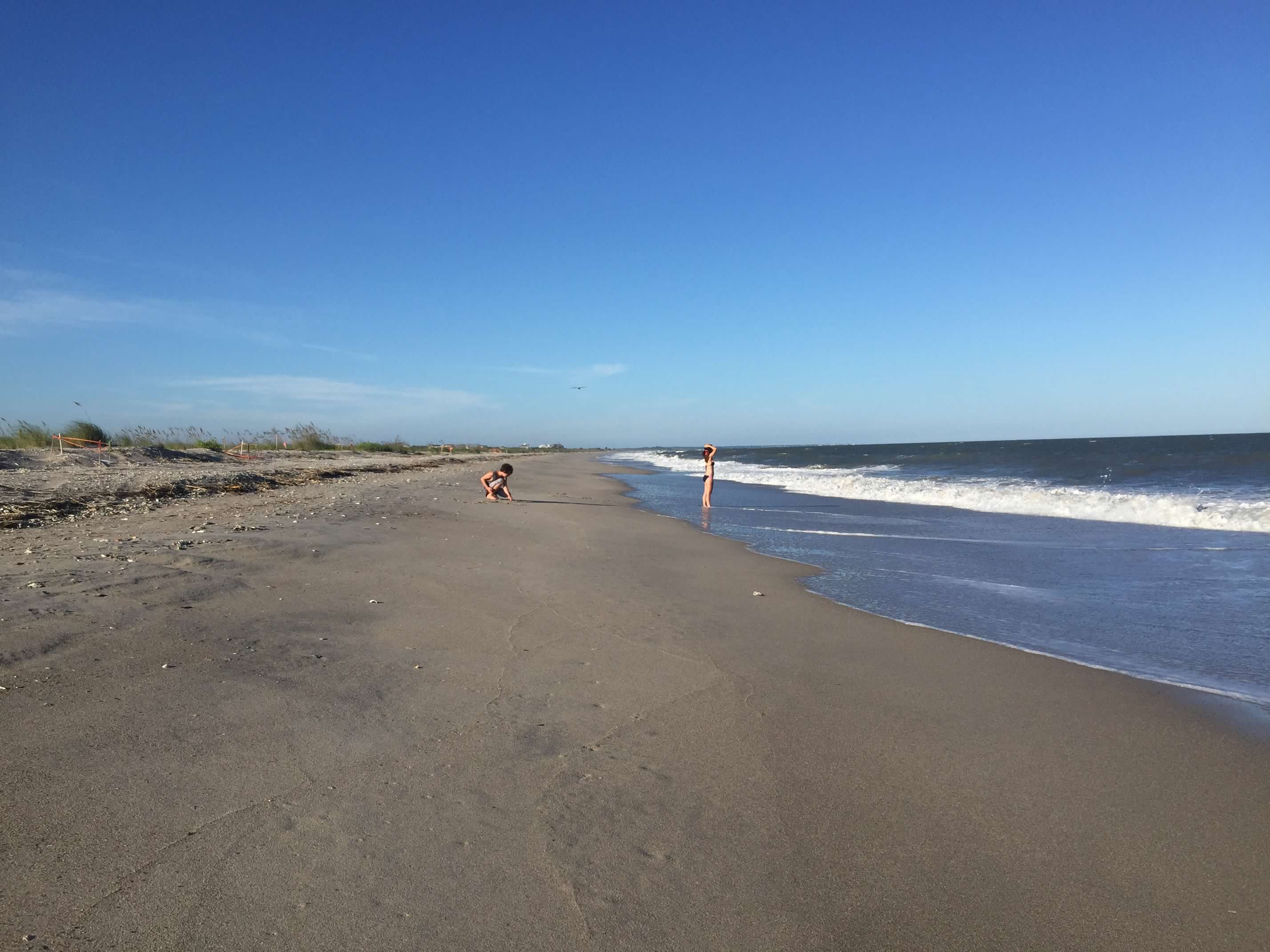 Kids searching for megalodon teeth at the waterline on Edisto Beach