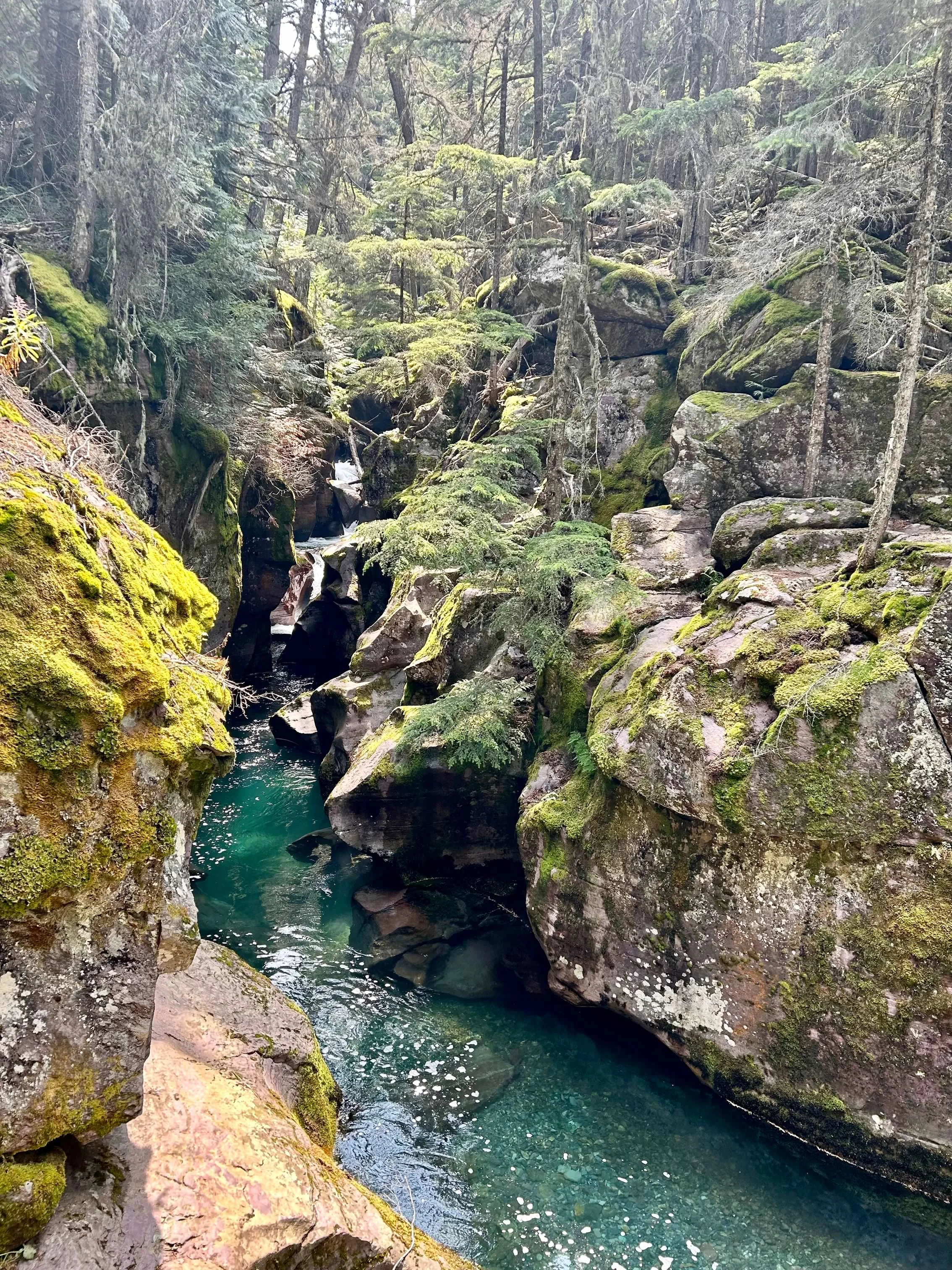 Turquoise glacial meltwater running through the mossy rock walls of Avalanche Gorge, Glacier National Park