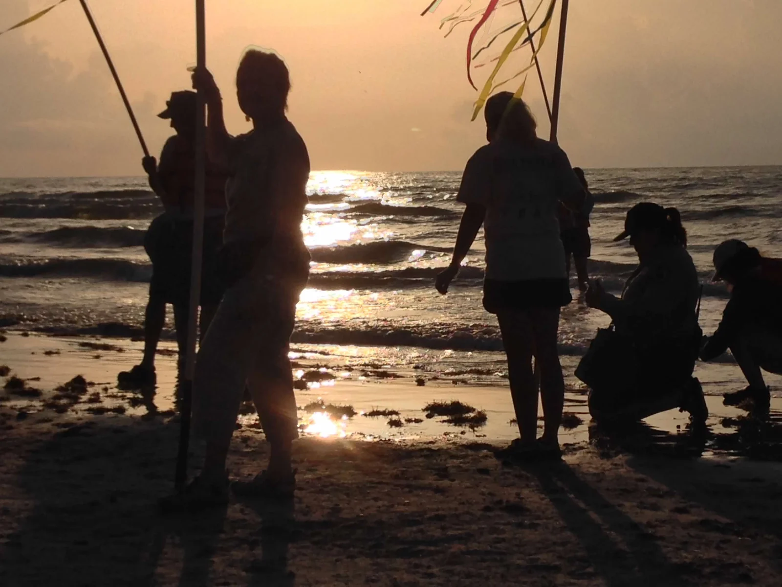 A ground-level view of the release corridor marked by ribboned poles, with National Park Service staff standing in the surf