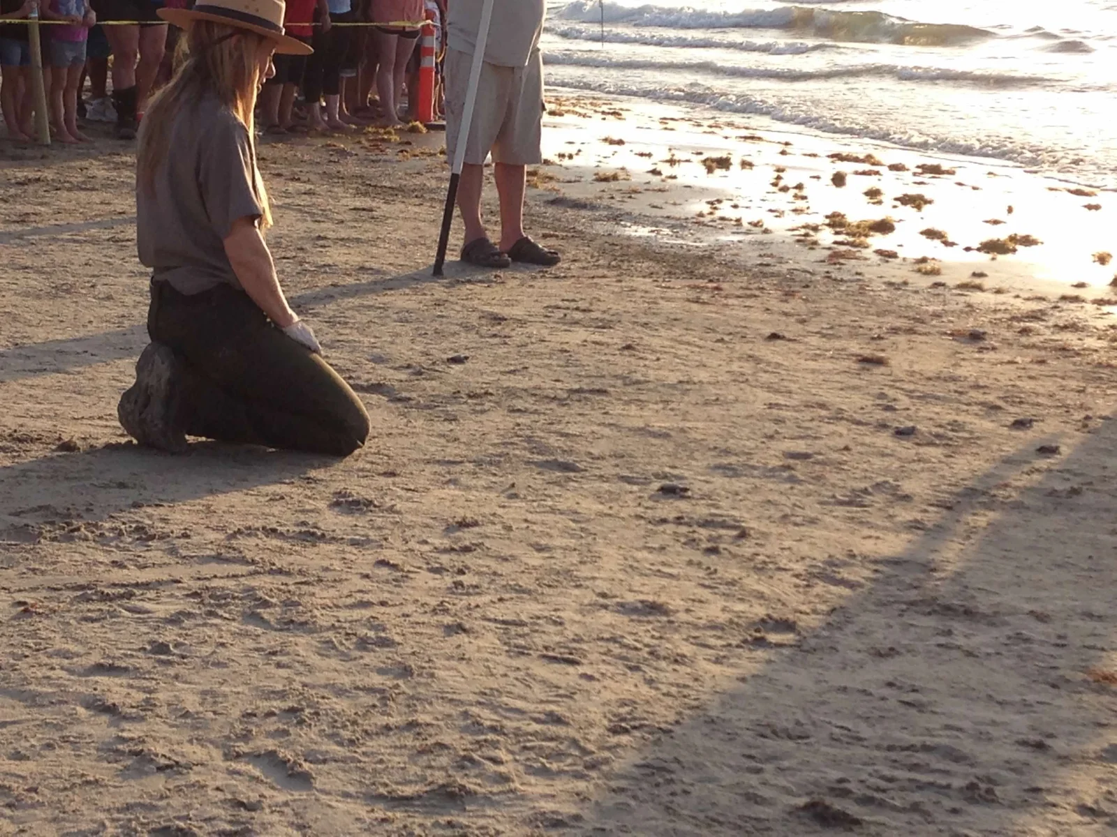 A National Park Service ranger kneeling in the sand at the edge of the hatchling release corridor