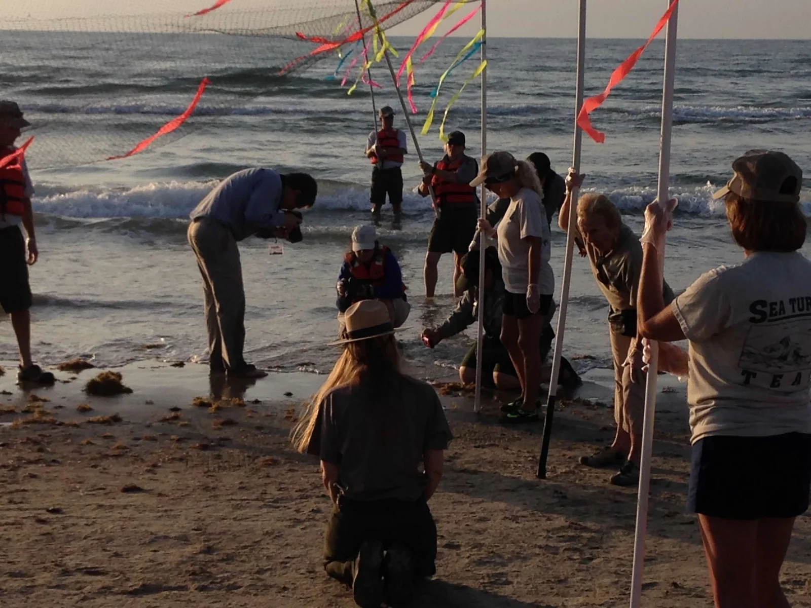 National Park Service Sea Turtle Team members wading into the surf during a hatchling release