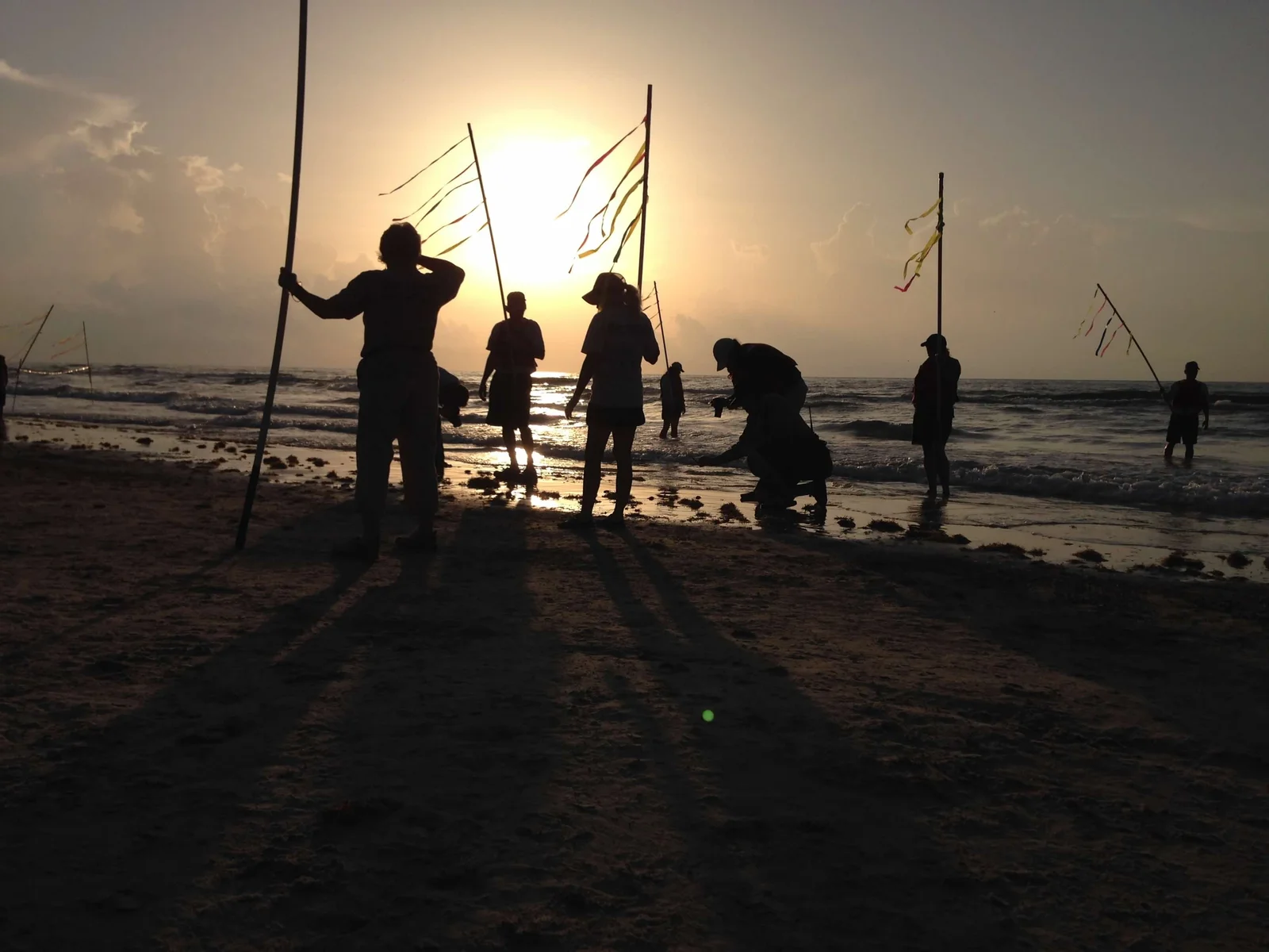 40,000 Nests to 300: The Morning We Watched the World's Rarest Sea Turtle Come Back