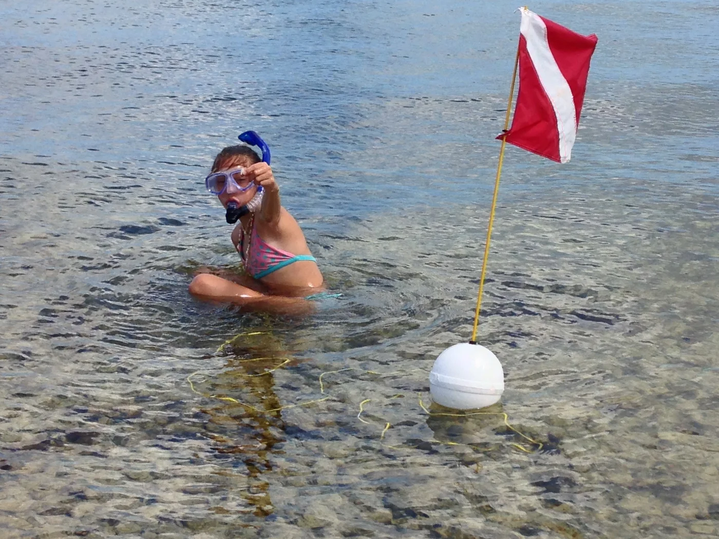 Close-up of CaCaw with mask and dive flag at the water's edge in Key West
