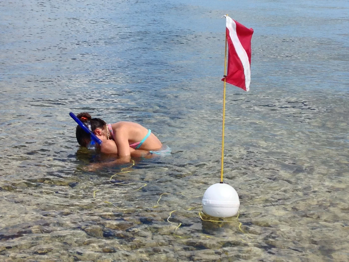 CaCaw standing ankle-deep in the water at Key West with a dive flag, about to snorkel
