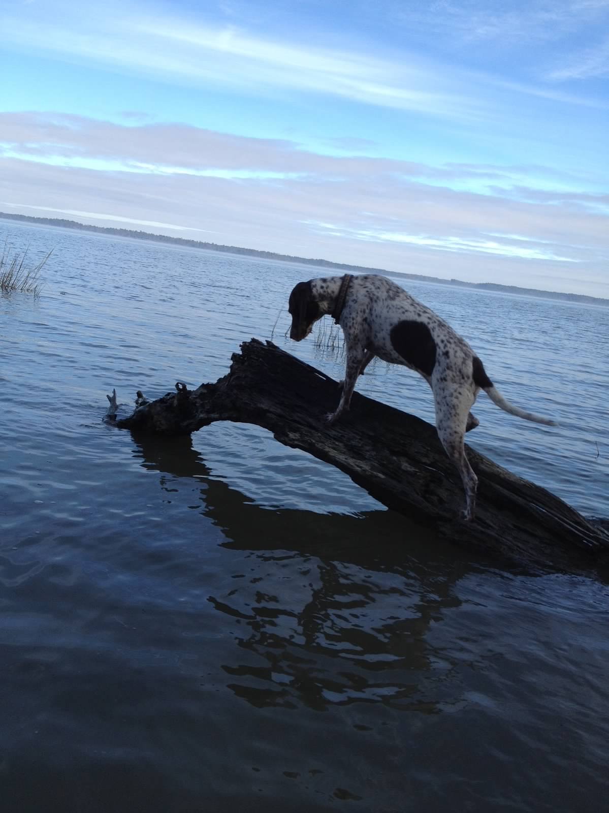 Lacy on the water — one of her favorite places