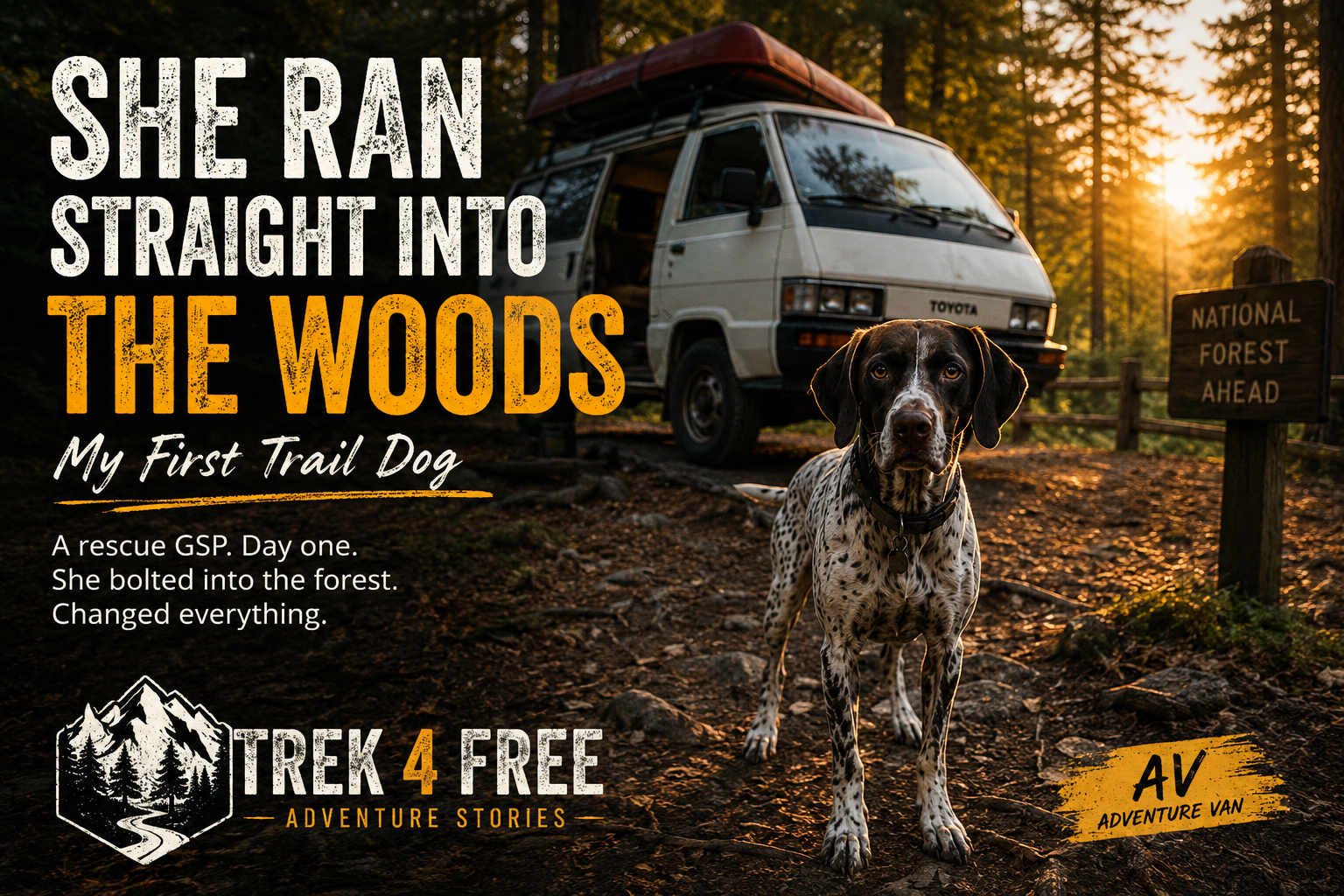 She Ran Straight Into the Woods — My First Trail Dog
