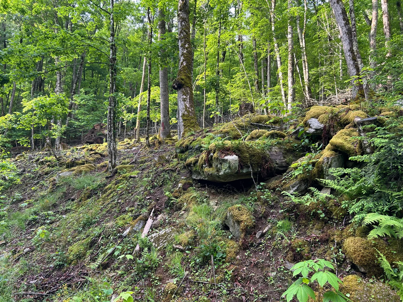 Life Off Trail: The Daily Routine That Keeps Us Ready