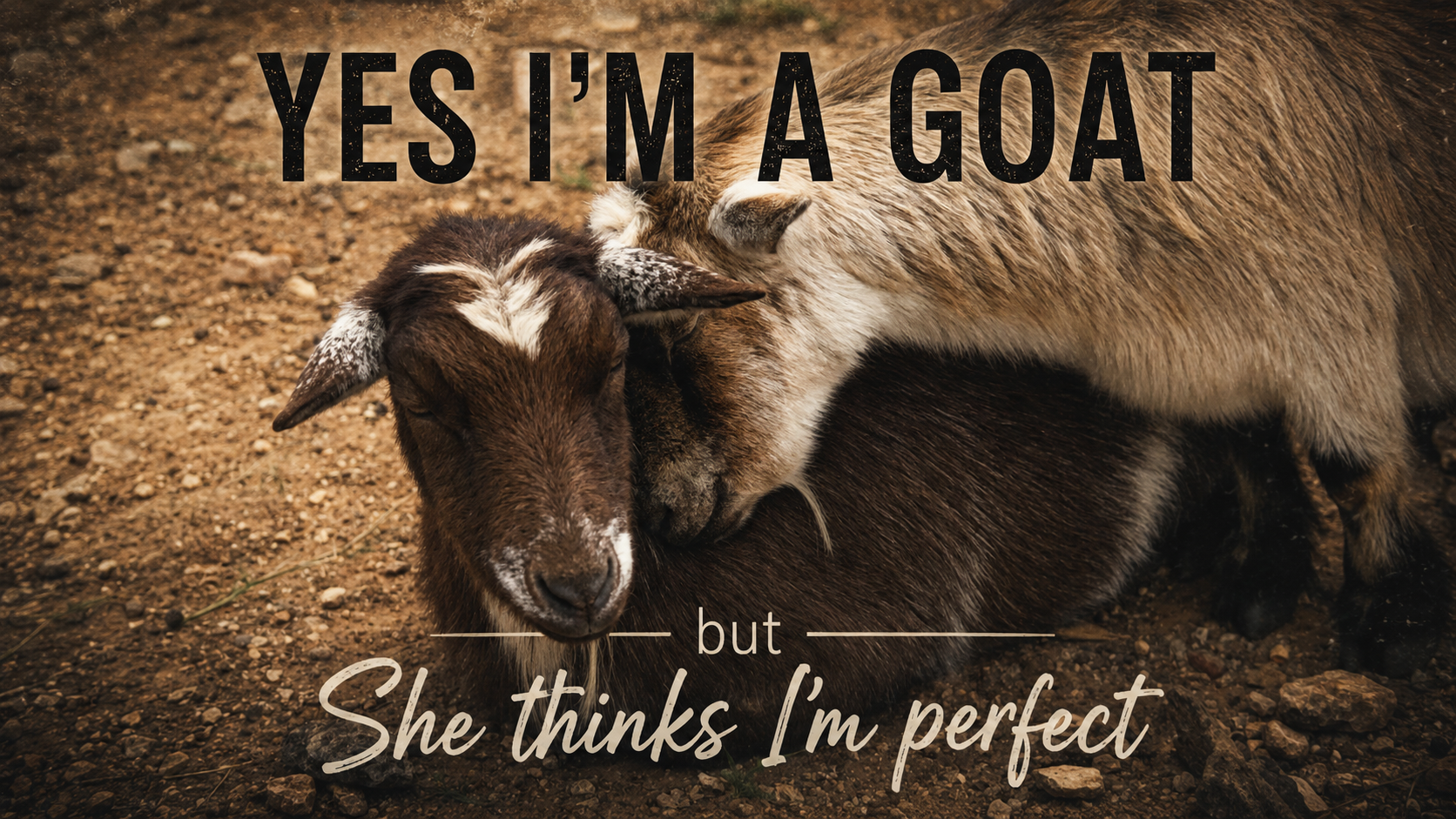 Yes I'm a goat — but she thinks I'm perfect