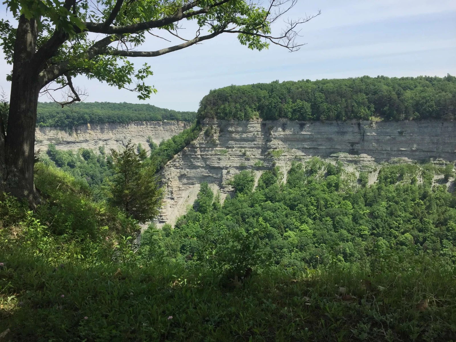 The Niagara River gorge — from the overlook you're looking across to Canada, which is right there