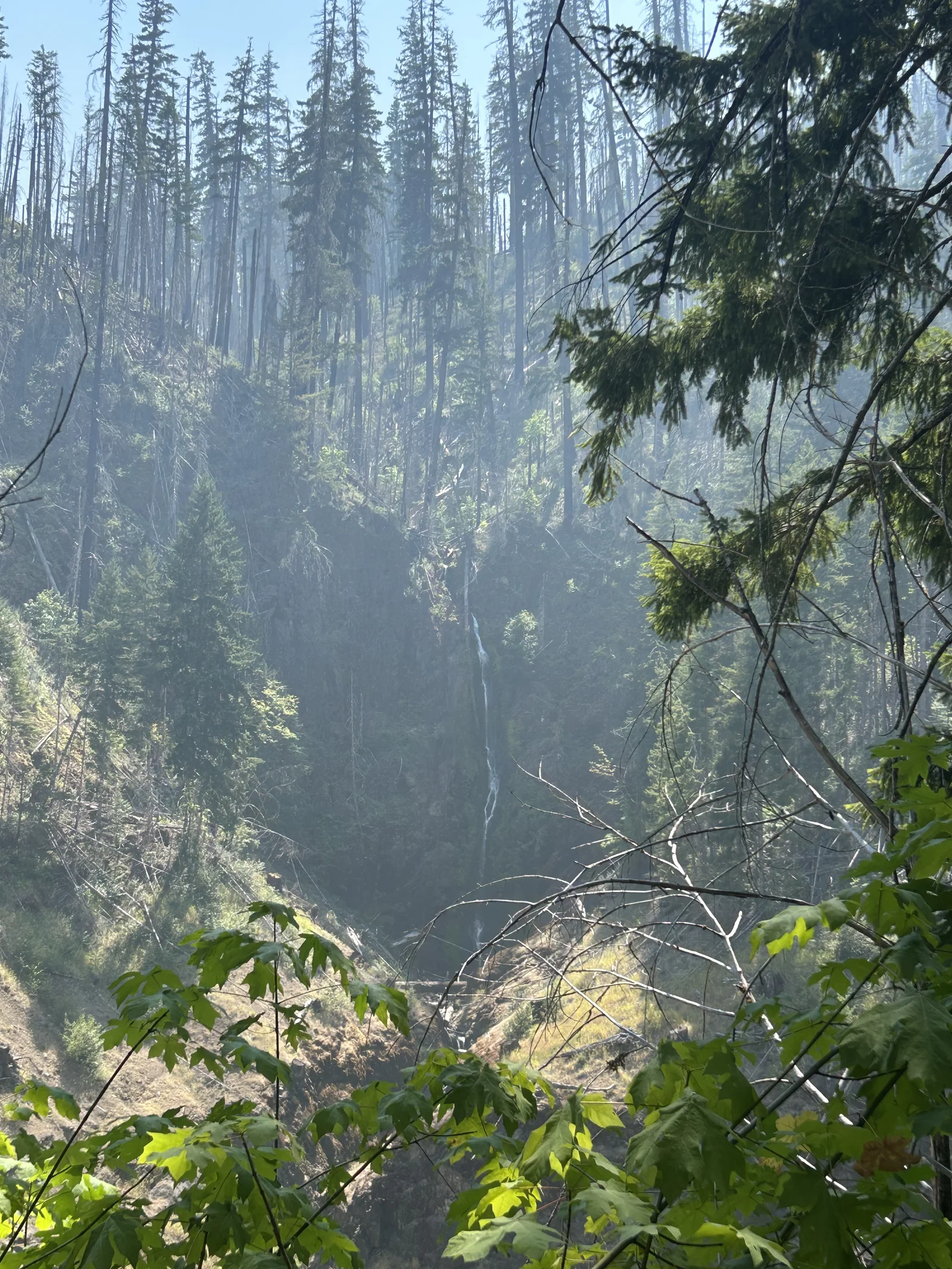 The waterfall at Cougar Hot Springs — one of the surprises in the surrounding forest before you reach the pools