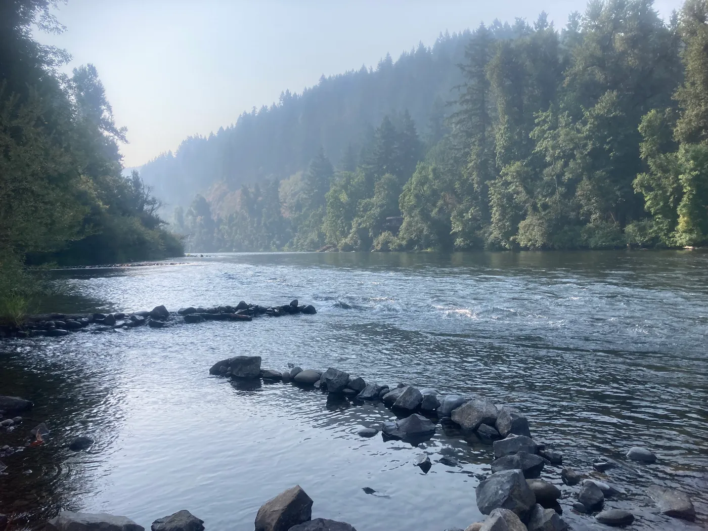 Running trails along the McKenzie River near Cougar Reservoir, Oregon