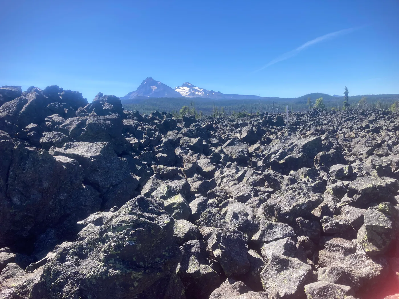 Massive black lava field at McKenzie Pass — one of Oregon's most dramatic volcanic landscapes