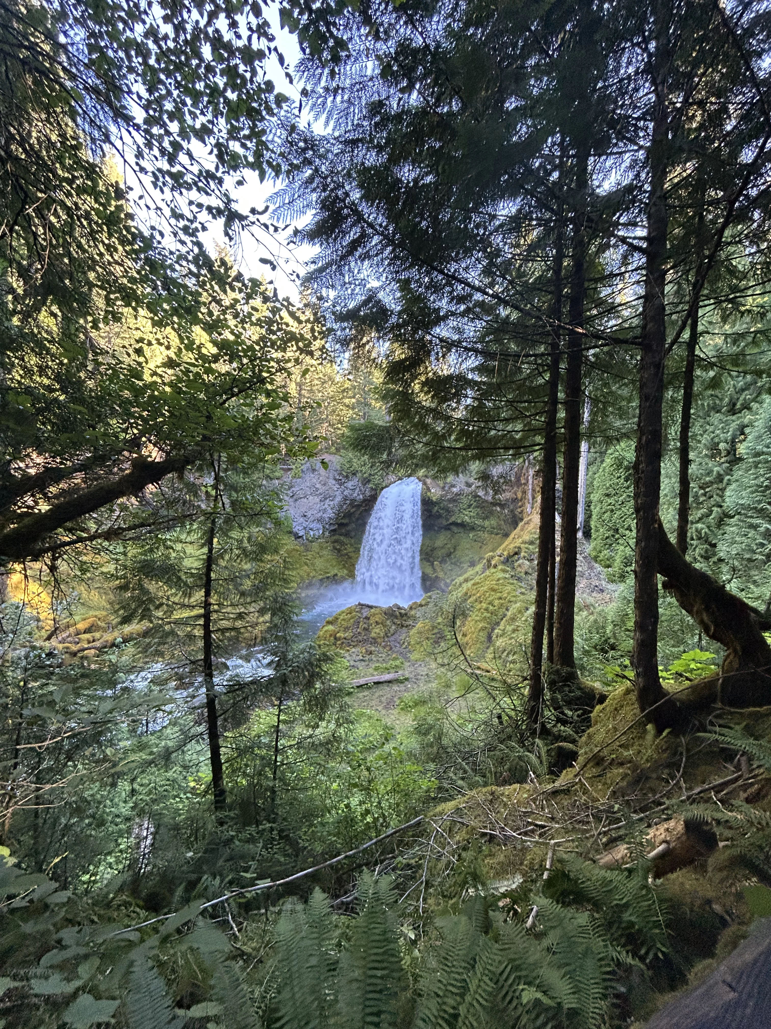 The trail run back from the hot springs — this section runs along the Cougar Reservoir arm before rejoining the McKenzie watershed