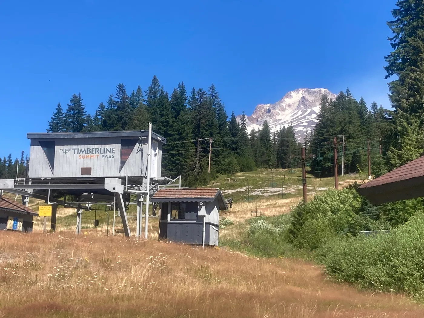 Mount Hood from the wildflower fields above Government Camp — the final hike of the Oregon trip