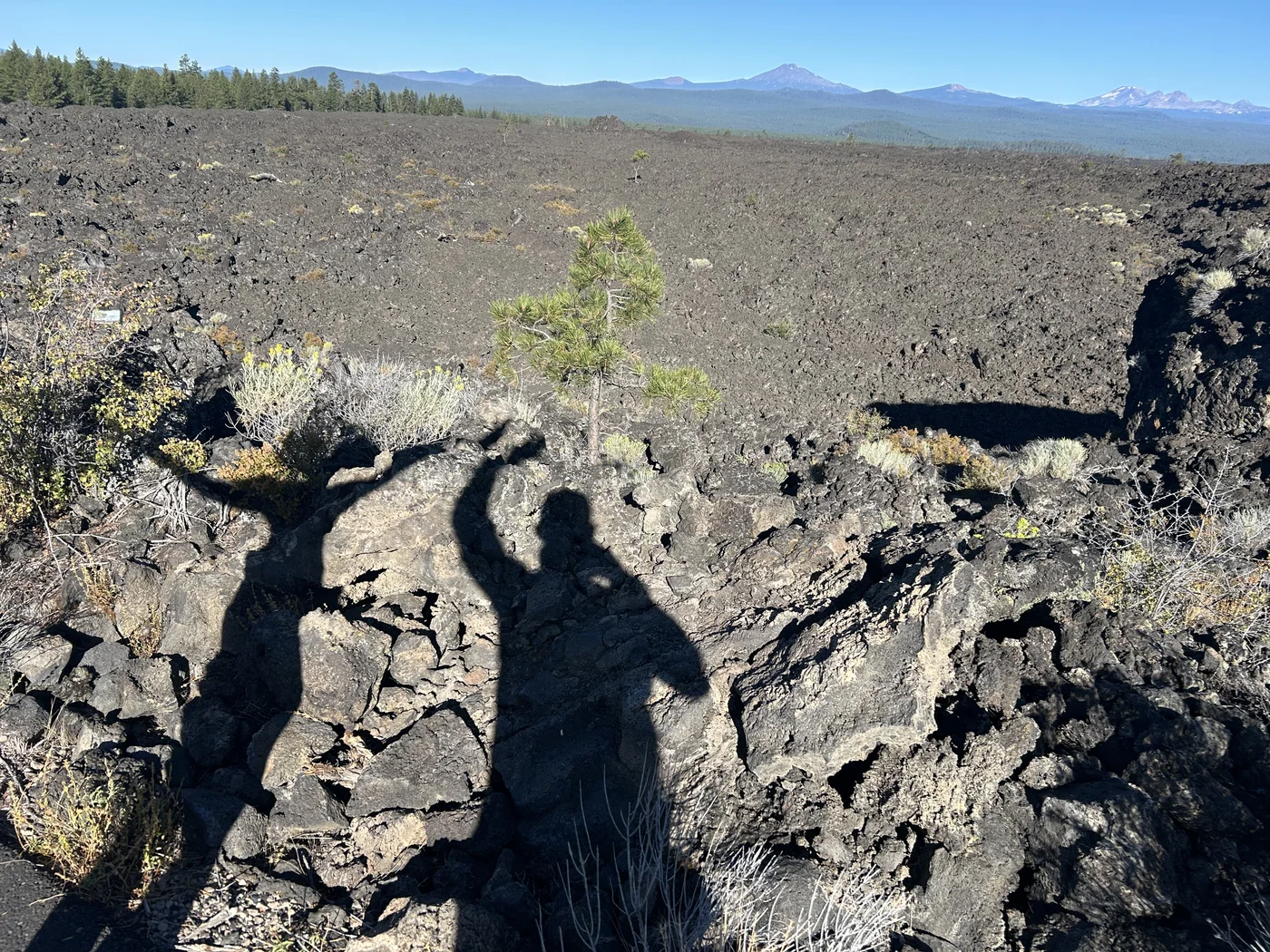Tortuga and Polly's shadows on the Newberry lava field — all three Sisters peaks visible on the horizon, twenty miles north