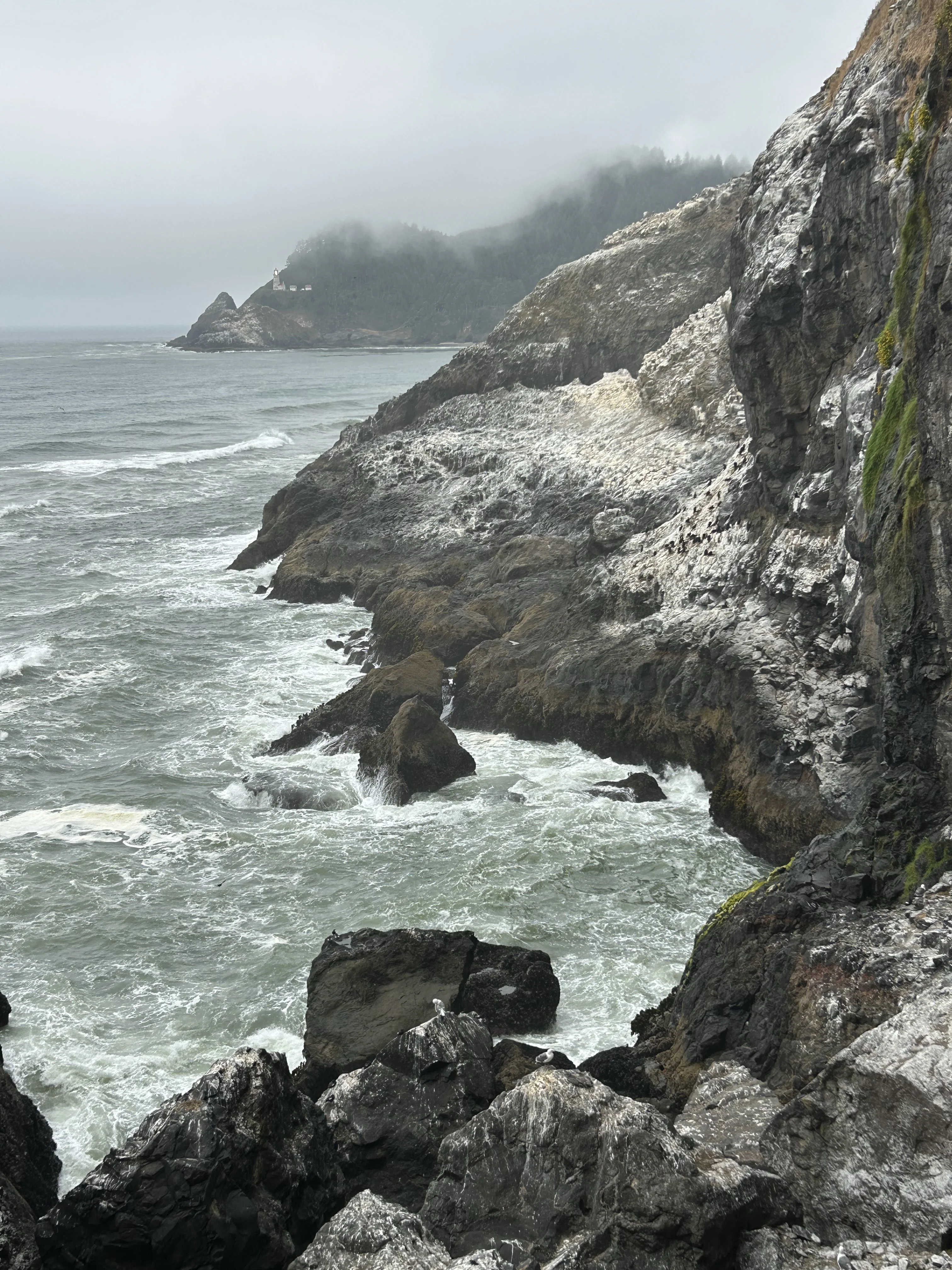 The headland exterior above the cave — the elevator shaft goes straight through this basalt to the cave floor below