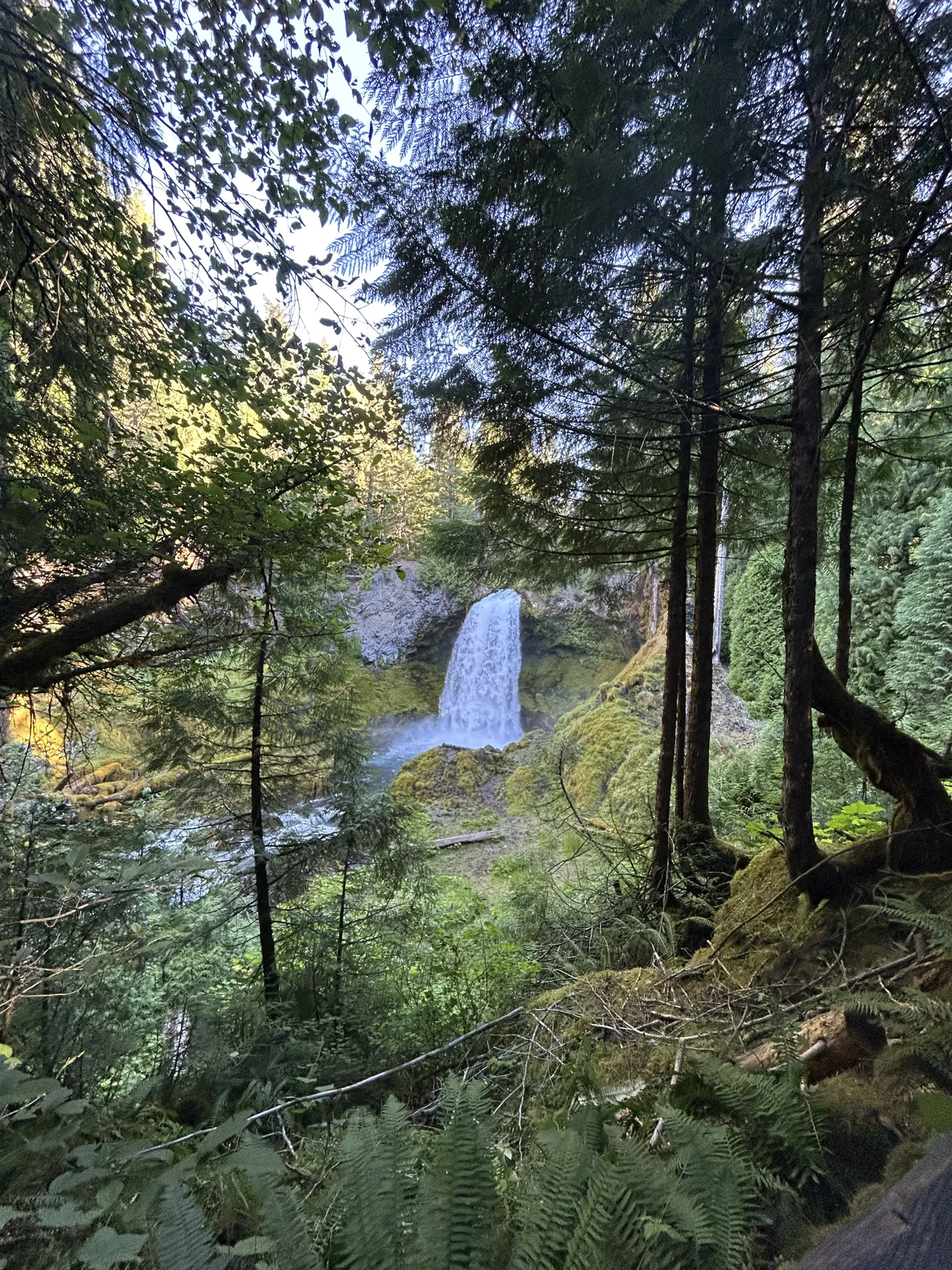 Sahalie Falls dropping through old-growth forest on the McKenzie River, Oregon — one of the most dramatic waterfalls in the Cascades
