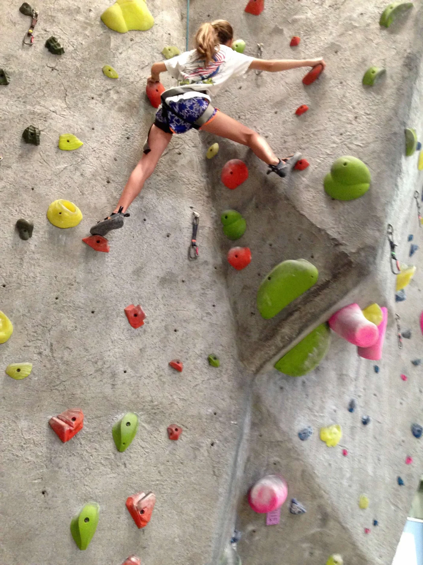 CaCaw on the indoor climbing wall — reading the route, working the problem