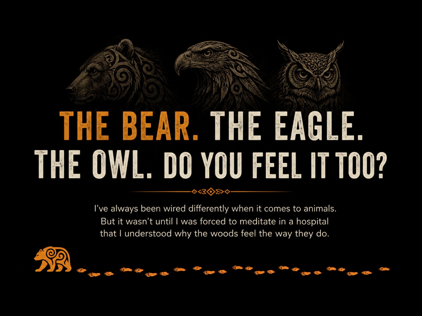 The Bear. The Eagle. The Owl. Do You Feel It Too?