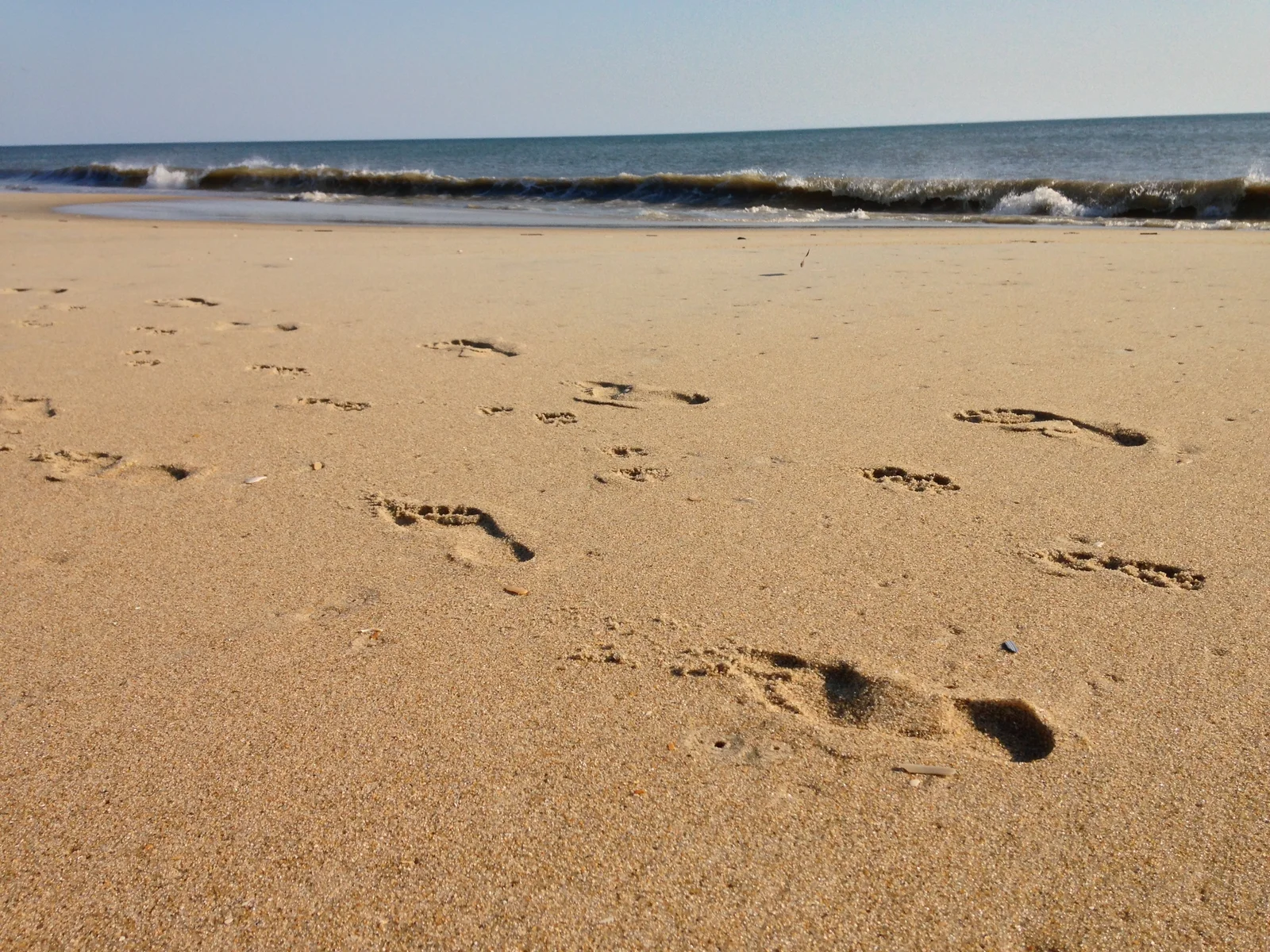 Bare footprints in the sand on an Outer Banks, North Carolina beach