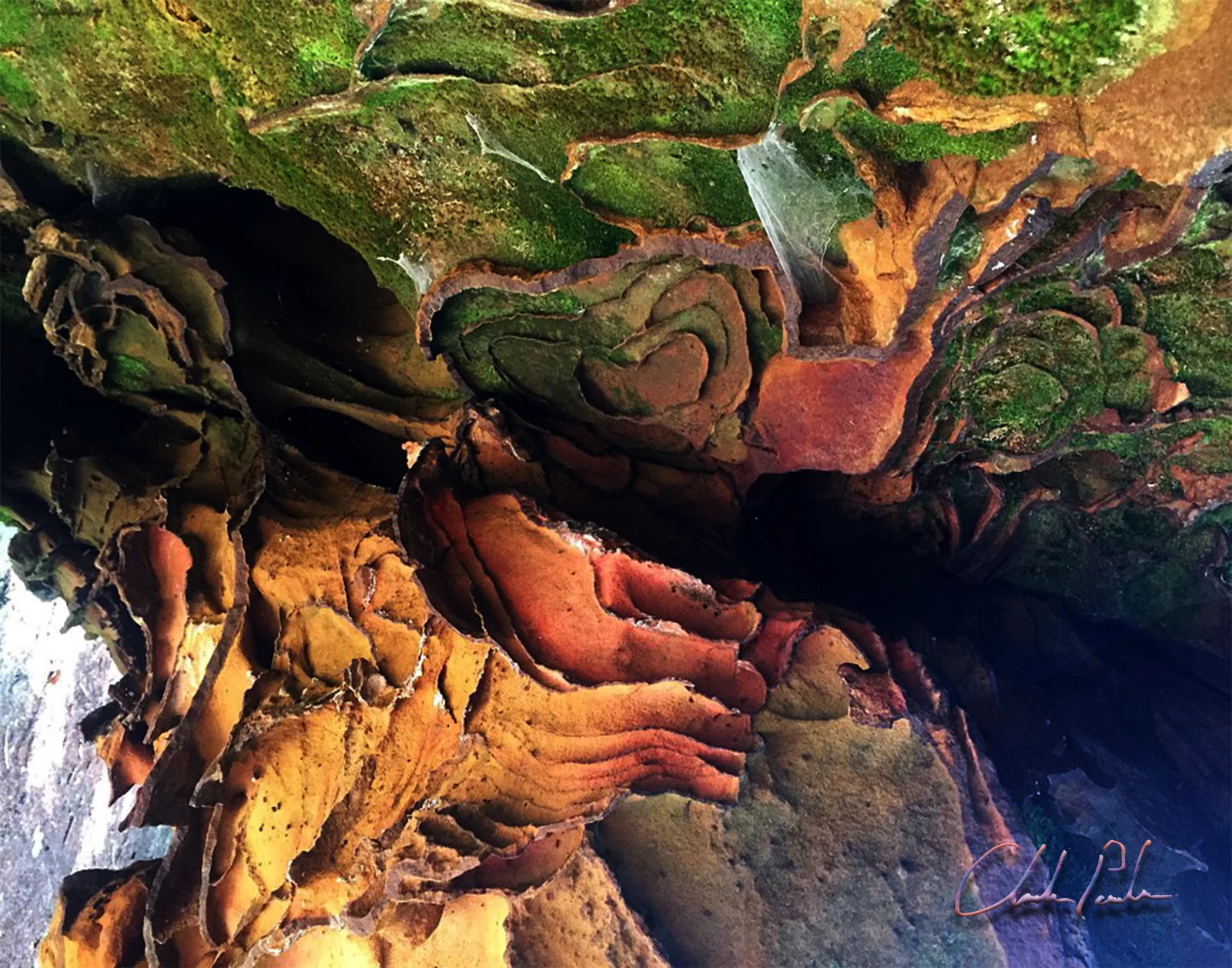 Naturally occurring iron ore intertwined with moss and spider web, close-up