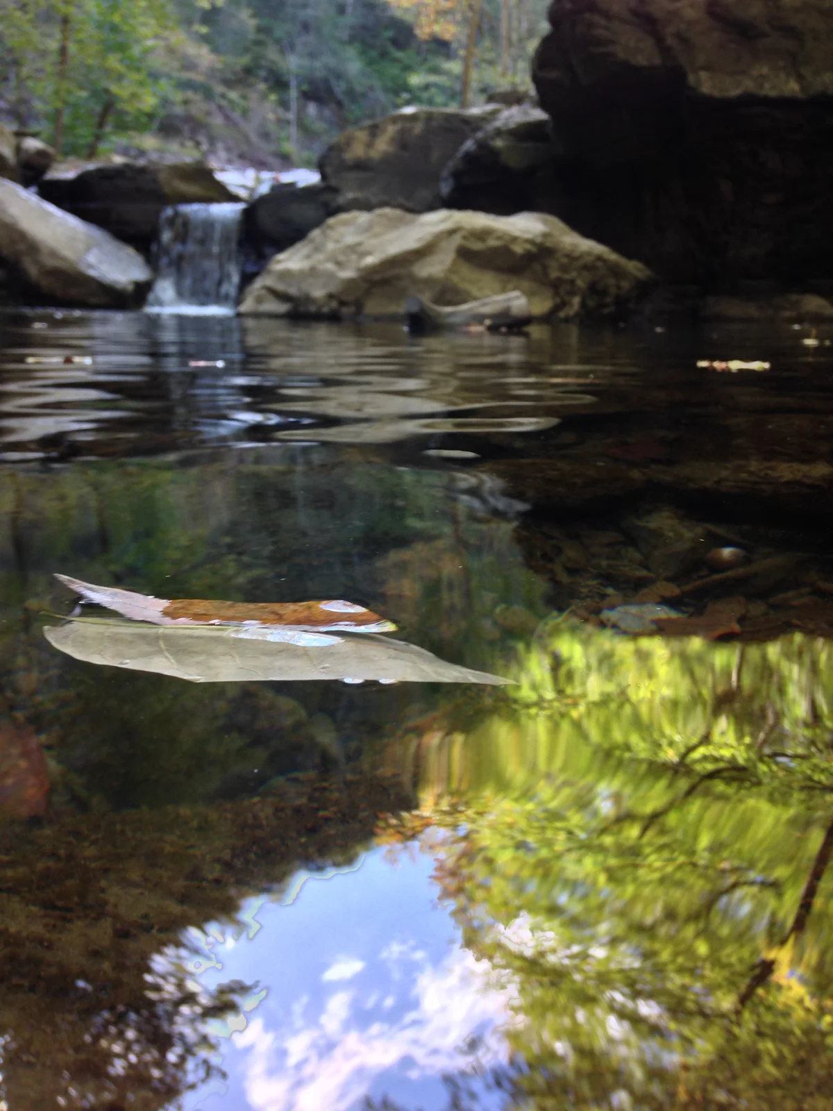 A single leaf floating on the still surface of a mountain creek pool