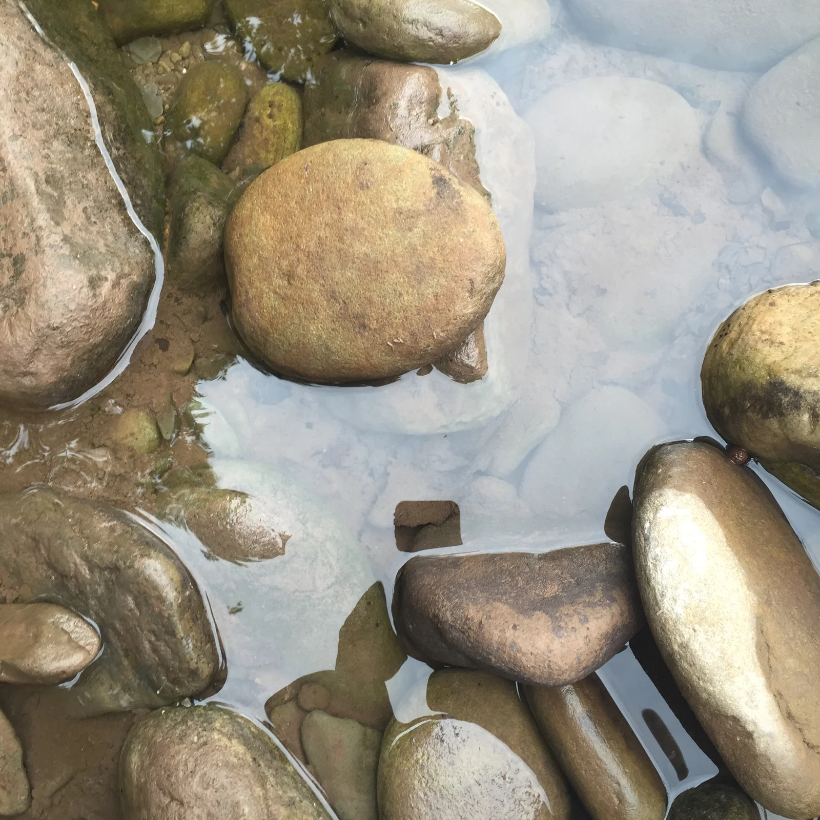 Smooth pebbles visible through clear creek water in West Virginia