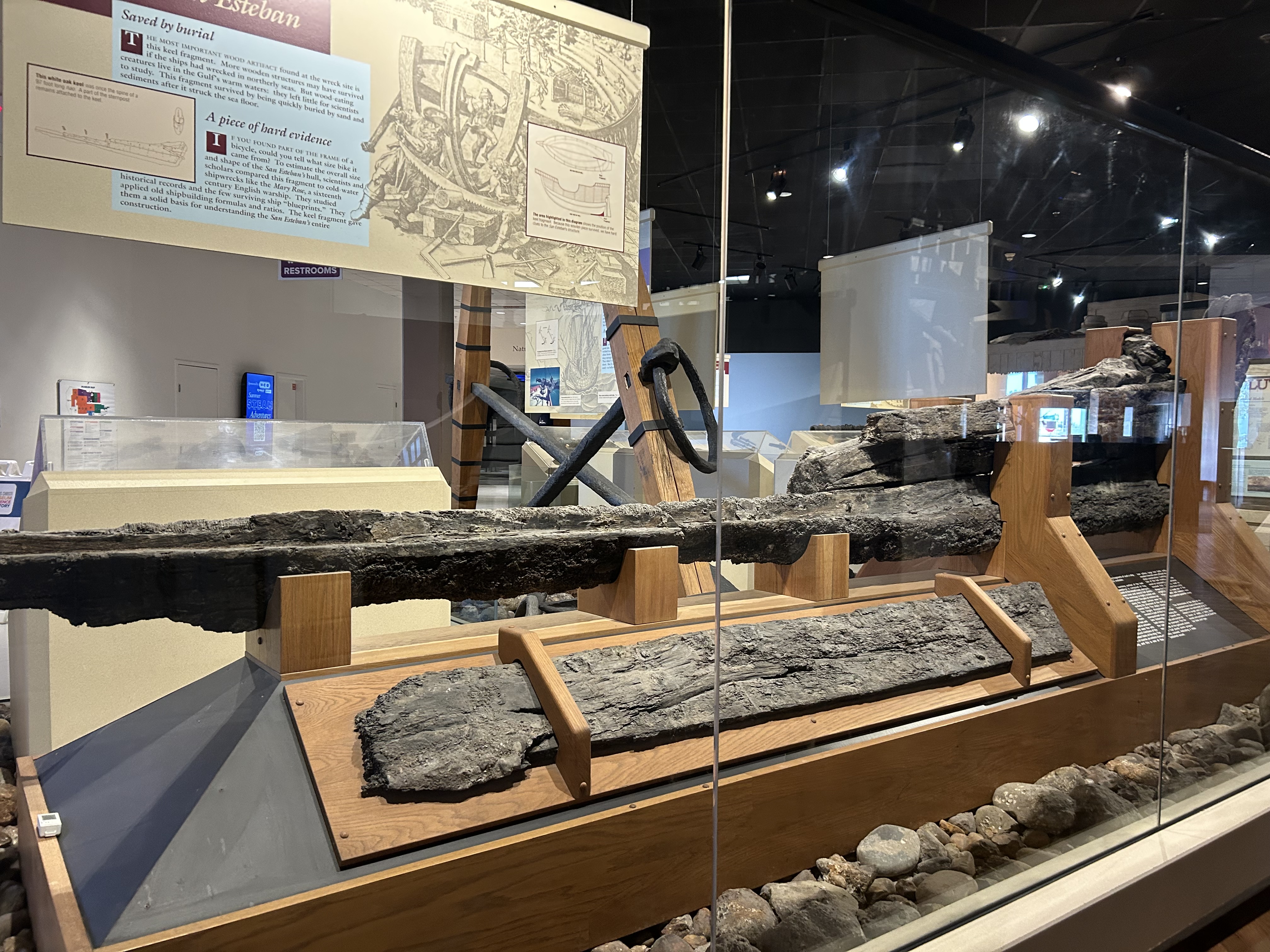 San Esteban exhibit — Corpus Christi Museum of Science and History. Concretion-encrusted artifacts from the 1554 shipwreck, exactly as they came off the ocean floor.